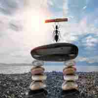 智﻿能﻿seo加​盟‍